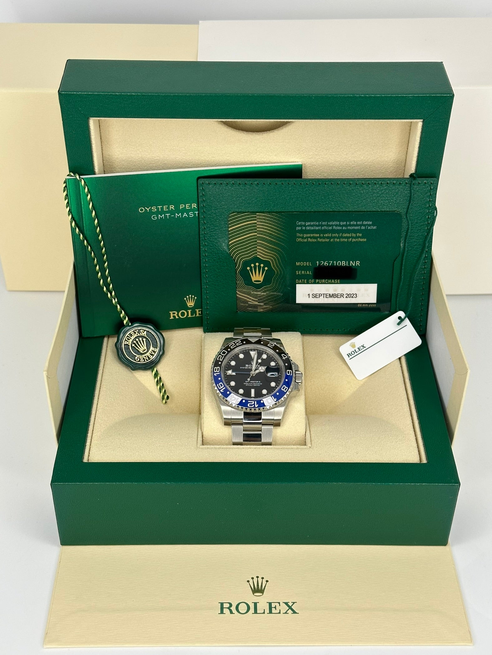 Rolex GMT-Master II 8220 dial and case detail