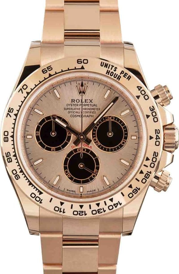 Rolex Daytona 126505 Everose Gold for sale